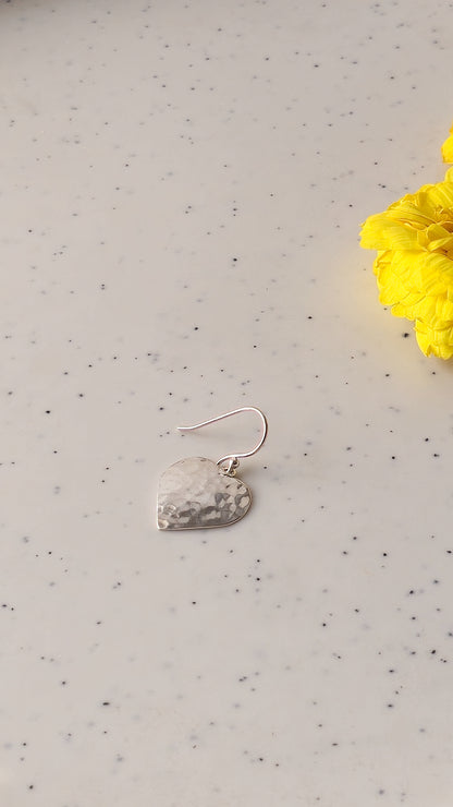 Priti - Shiny Silver Earrings