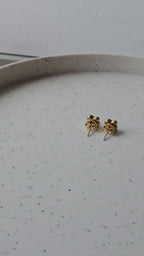 Panchi Earrings