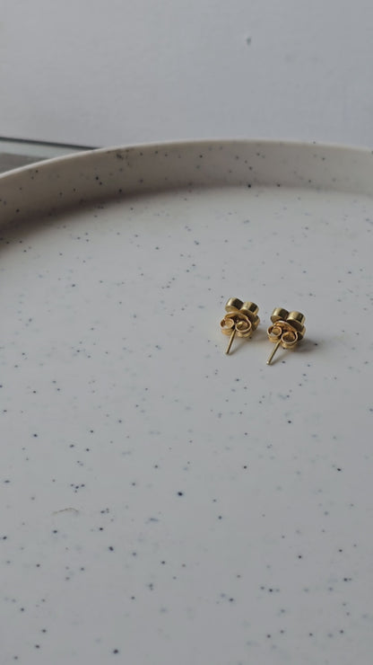 Panchi Earrings