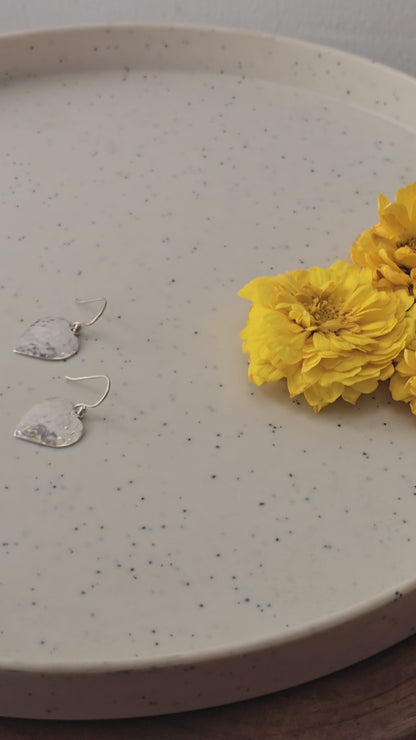 Priti - Shiny Silver Earrings