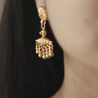 Jhumri - 22K Gold Plated Earrings